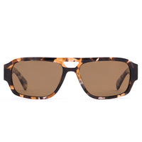 Sito - Atlas in Pebble Tort/Brown Polarised Lens