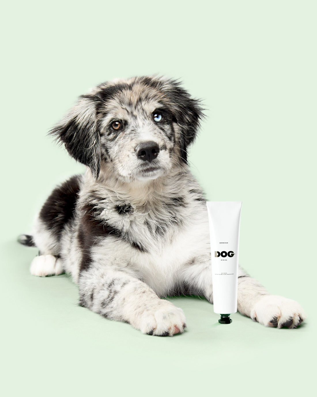 DOG by Dr Lisa - Soothing Balm