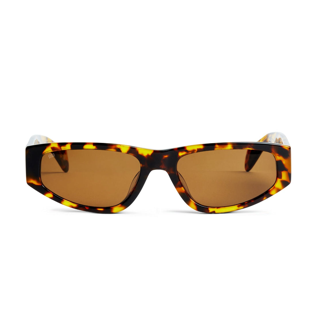 Sito -  - Elroy in Tortie/Brown Polar